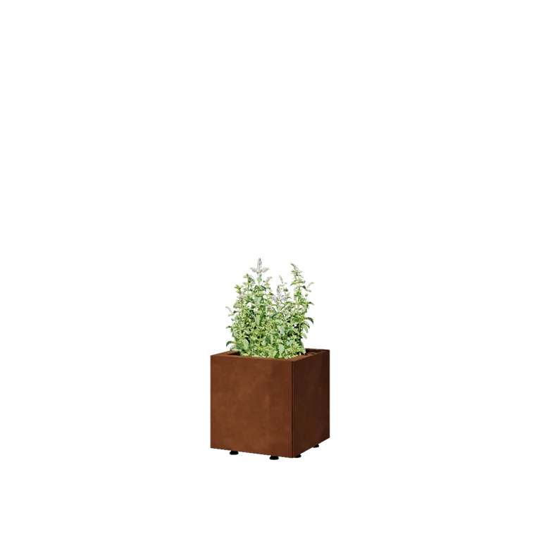 Corten jekleno korito za rože - Kvadrat - 30 x 30 x 30 cm - Z dnoploščo - Z nogami