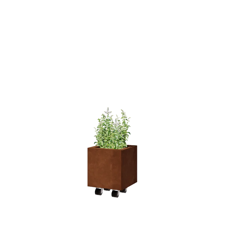 Corten jekleno korito za rože - Kvadrat - 30 x 30 x 30 cm - Z dnoploščo - S kolesi