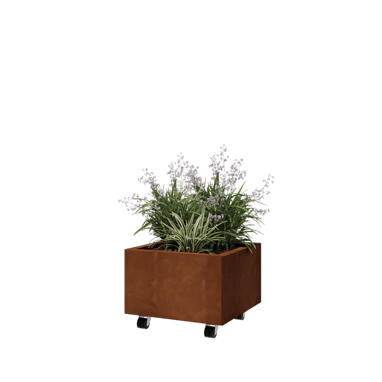 Corten jekleno korito za rože - Kvadrat - 50 x 50 x 30 cm - Z dnoploščo - S kolesi