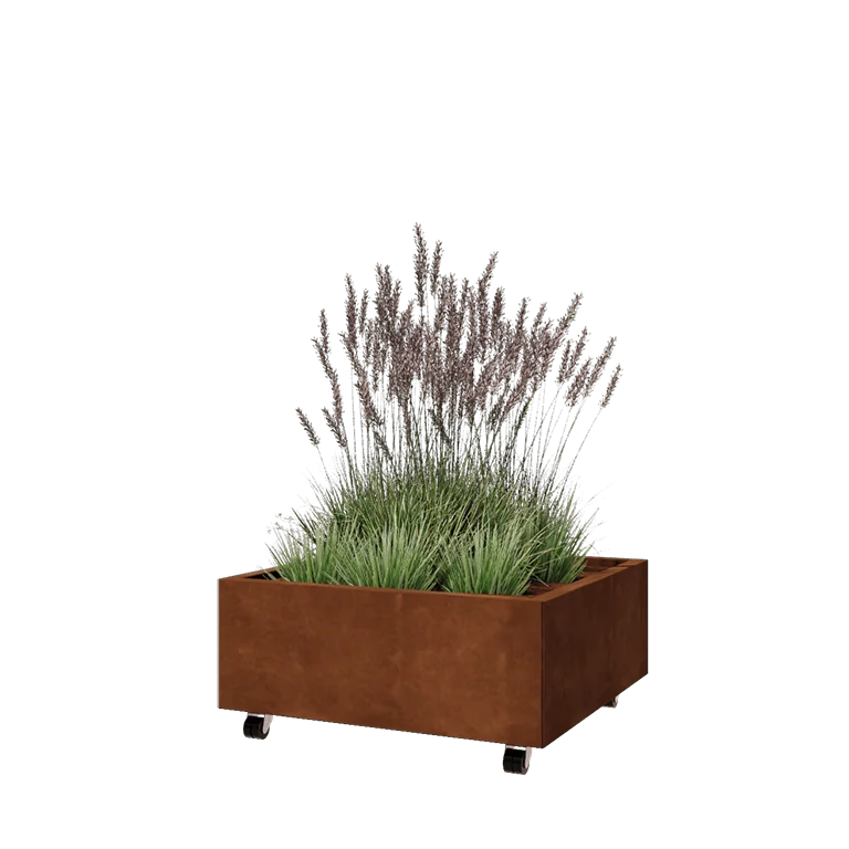 Corten jekleno korito za rože - Kvadrat - 80 x 80 x 30 cm - Z dnoploščo - S kolesi