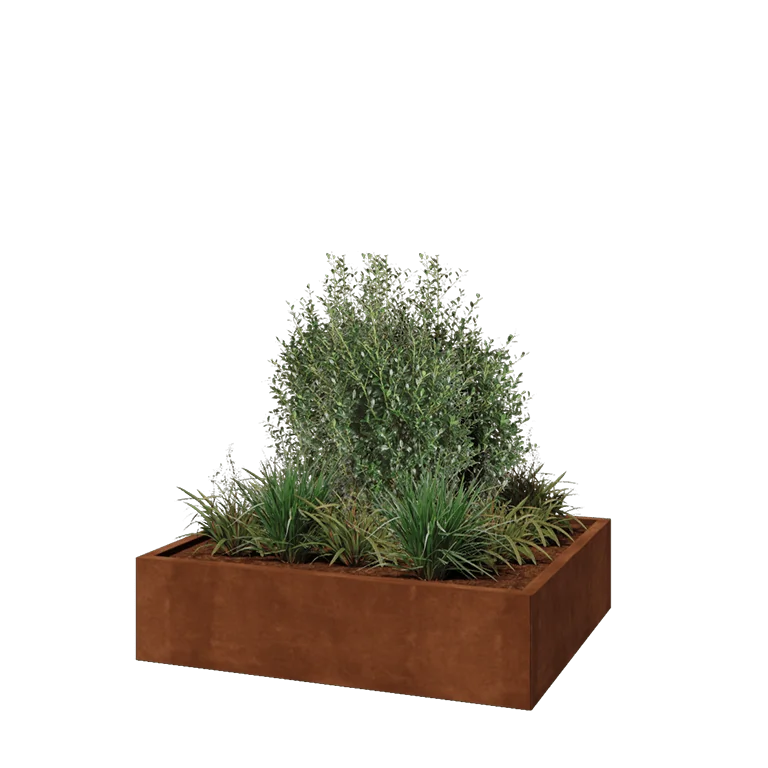 Corten jekleno korito za rože - Pravokotnik - 120 x 100 x 30 cm - Brez dnoplošče