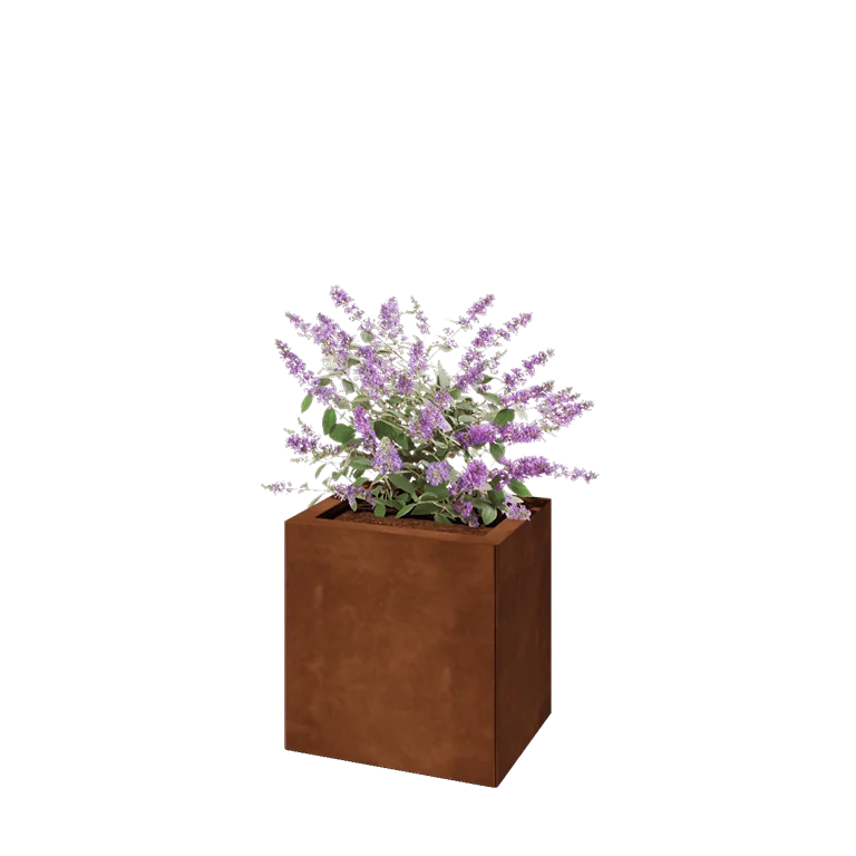 Corten jekleno korito za rože - Pravokotnik - 40 x 30 x 40 cm - Brez dnoplošče