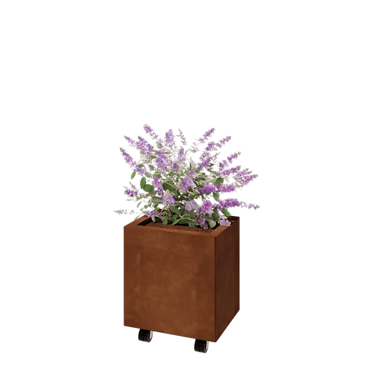Corten jekleno korito za rože - Pravokotnik - 40 x 30 x 40 cm - Z dnoploščo - S kolesi