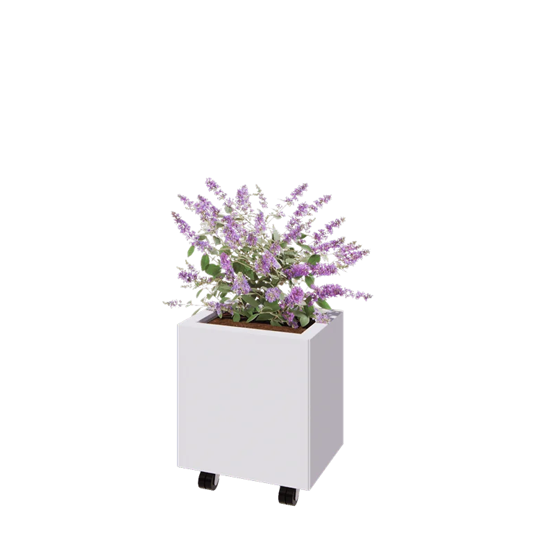 Jekleno korito za rože - Pravokotnik - 40 x 30 x 40 cm - RAL9010 mat (bela) - Z dnoploščo - S kolesi