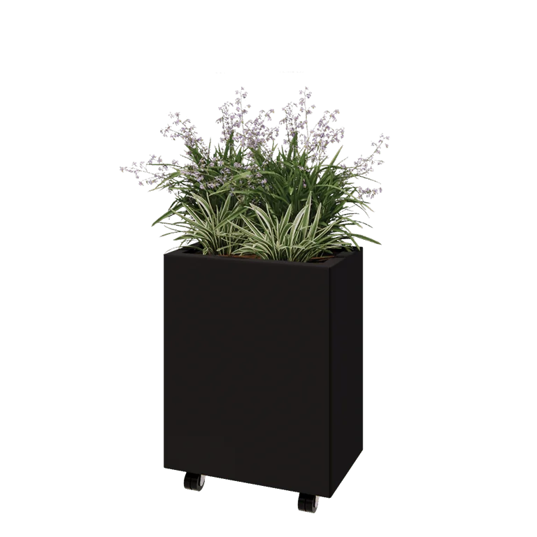 Jekleno korito za rože - Pravokotnik - 50 x 30 x 60 cm - RAL9005 mat (črna) - Z dnoploščo - S kolesi