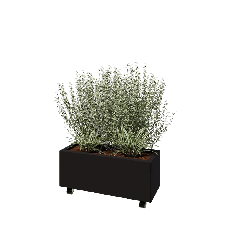 Jekleno korito za rože - Pravokotnik - 80 x 30 x 30 cm - RAL9005 mat (črna) - Z dnoploščo - S kolesi