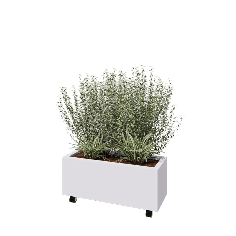 Jekleno korito za rože - Pravokotnik - 80 x 30 x 30 cm - RAL9010 mat (bela) - Z dnoploščo - S kolesi