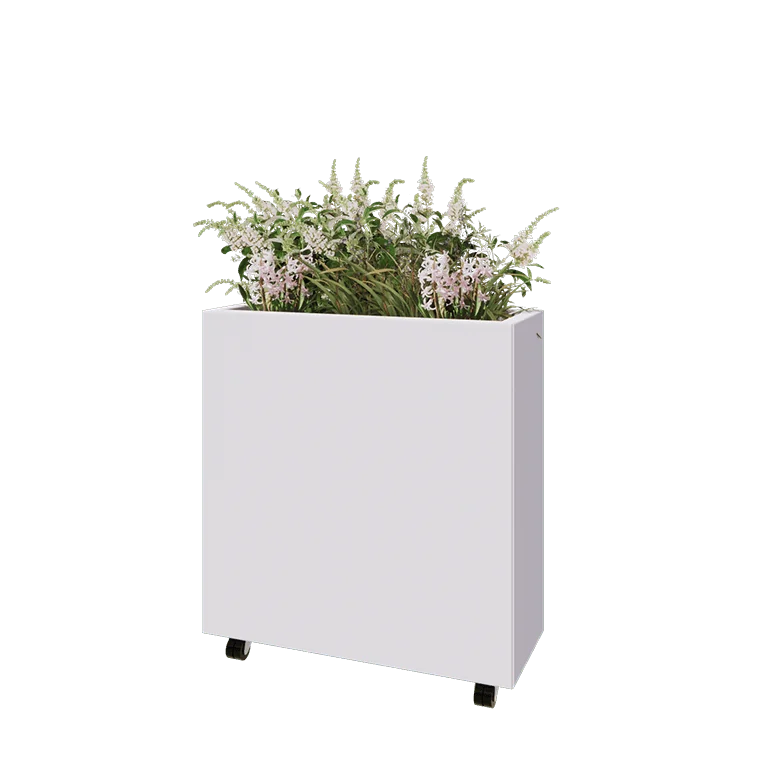 Jekleno korito za rože - Pravokotnik - 80 x 30 x 80 cm - RAL9010 mat (bela) - Z dnoploščo - S kolesi